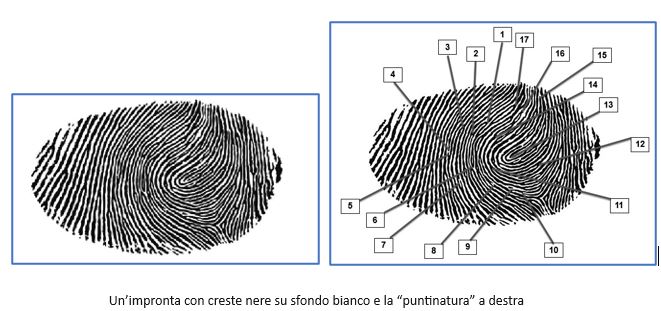 inferenze probabilistiche e impronte